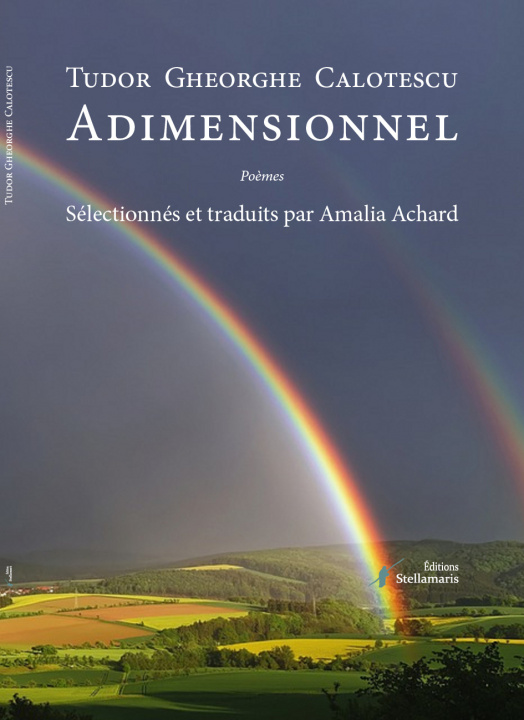 Kniha Adimensionnel Calotescu