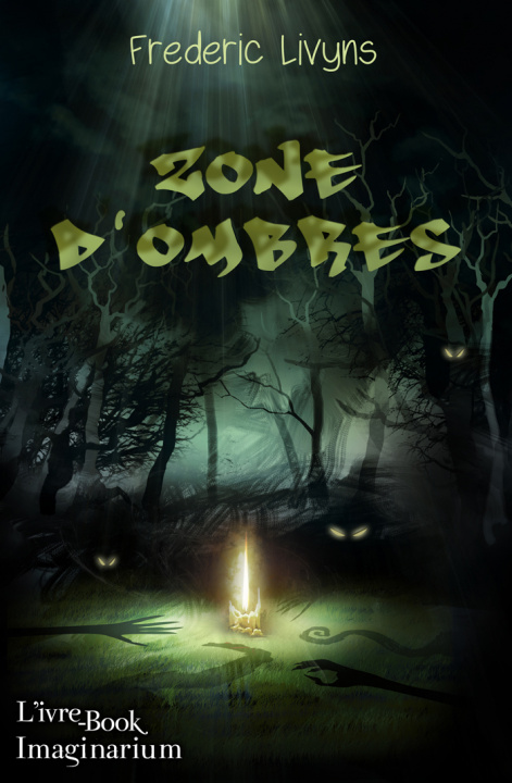 Boek Zone d'ombres Livyns