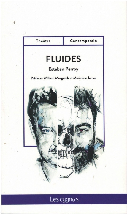 Kniha FLUIDES Perroy