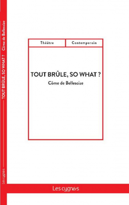 Kniha Tout brûle, so what ? de Bellescize