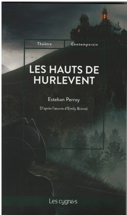 Kniha LES HAUTS DE HURLEVENT PERROY