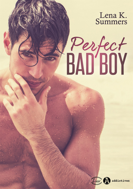 Knjiga Perfect Bad Boy Summers