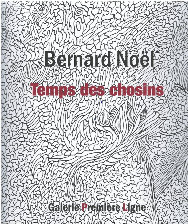 Kniha TEMPS DES CHOSINS NOEL