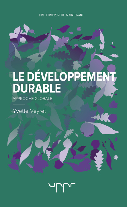 Könyv Le développement durable Veyret