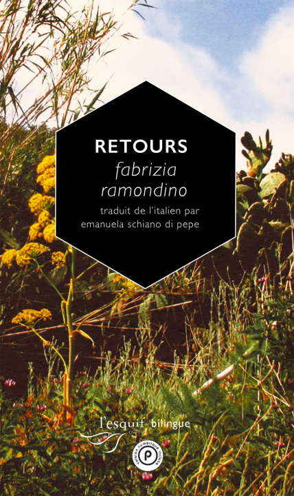 Knjiga Retours Fabrizia Ramondino