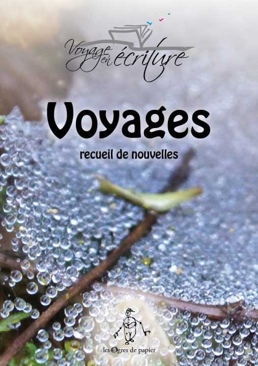 Knjiga Voyages en Ecriture