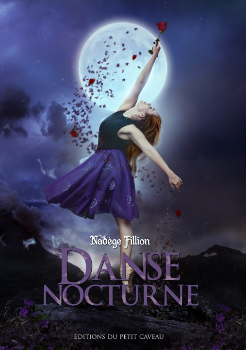 Buch Danse Nocturne Nadège Fillion