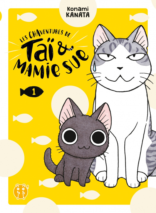 Kniha Les Chaventures de Taï et Mamie Sue T01 