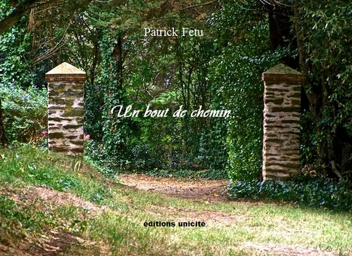 Knjiga Un bout de chemin... Fetu