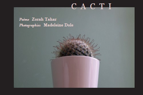 Book Cacti Tahar