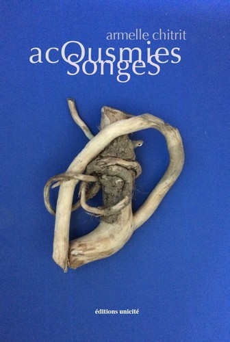 Boek AcousmiesSonges Chitrit