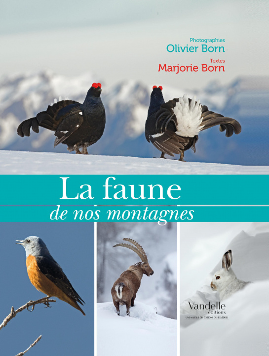 Buch La faune de nos montagnes 
