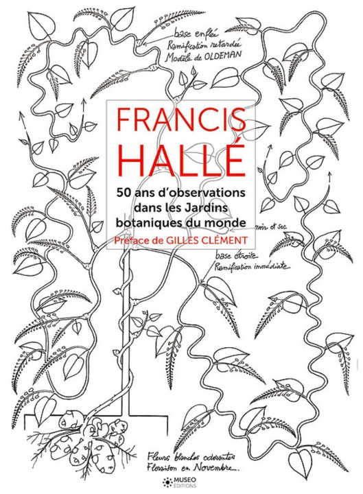 Kniha Francis Hallé - Tome 2 Clément