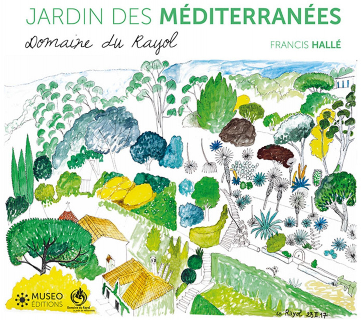 Kniha Francis Hallé, plantes des Méditerranées Hallé