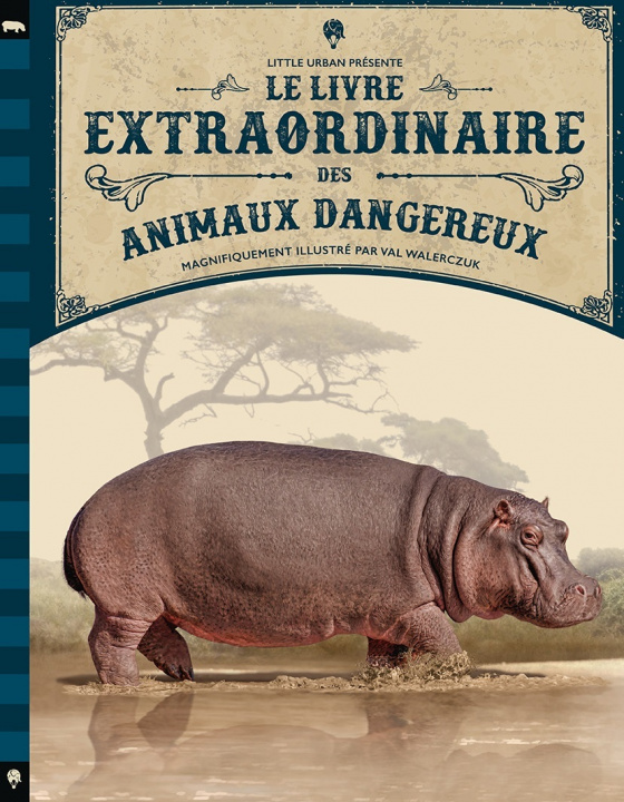 Könyv Le Livre extraordinaire des animaux dangereux JACKSON Tom
