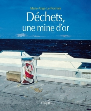Buch Déchets une mine d'or LEROCHAIS-MA