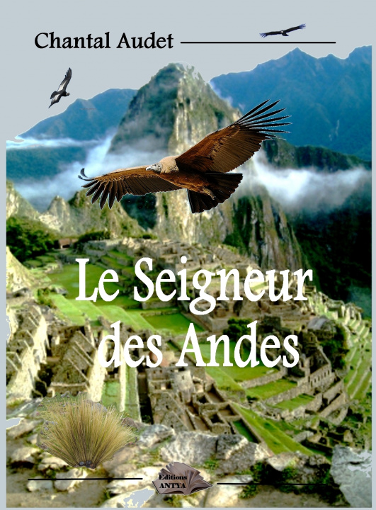 Buch le seigneur des Andes Audet