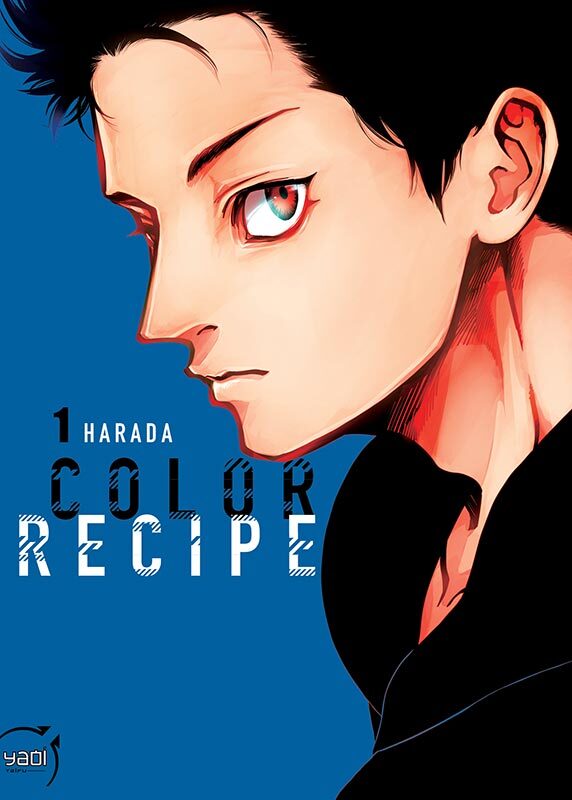 Kniha Color Recipe T01 (NED) Harada