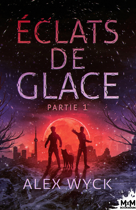 Knjiga Éclats de glace - Partie 1 Alex Wyck