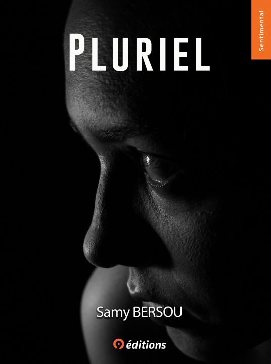 Boek Pluriel BERSOU