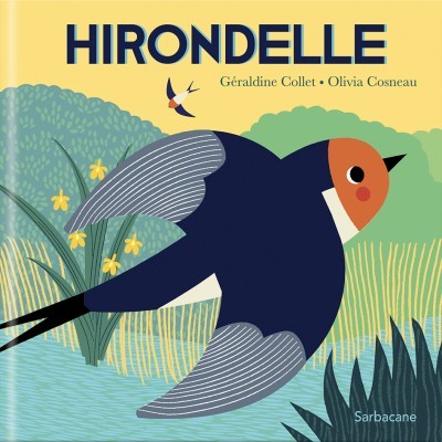 Buch Hirondelle COLLET