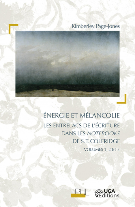 Könyv Energie et mélancolie Page-Jones