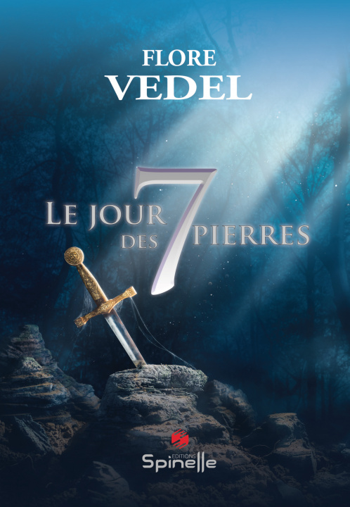 Kniha Le jour des 7 pierres Vedel