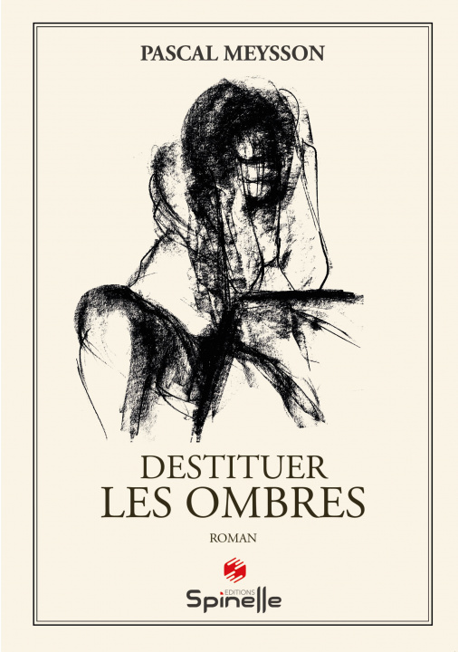 Buch Destituer les ombres Meysson