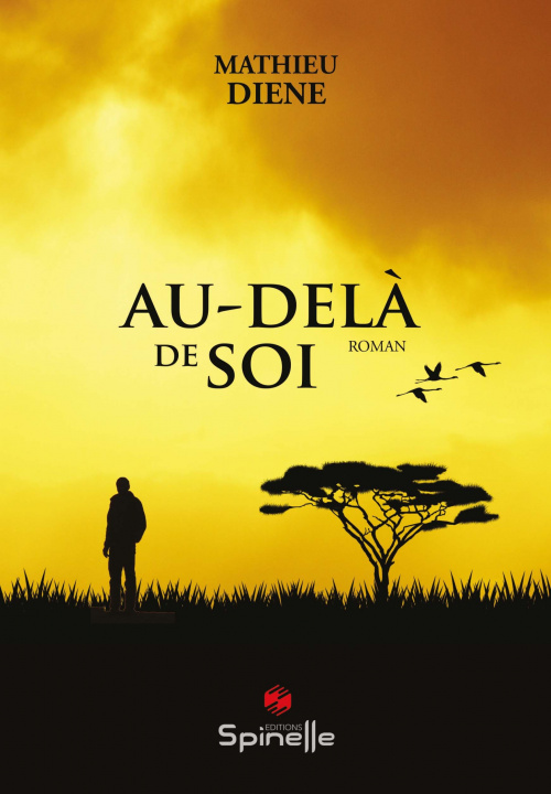 Buch Au-delà de soi Diene