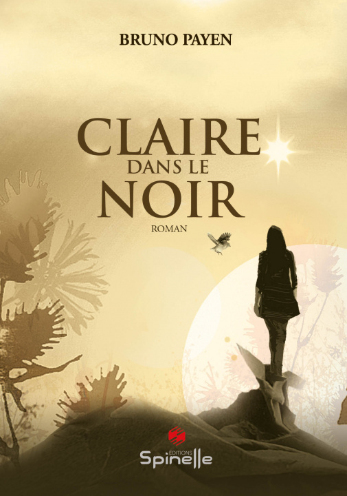 Knjiga Claire dans le noir Payen