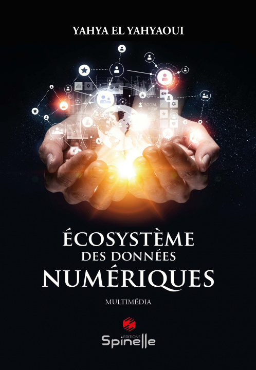 Книга Écosystème des données numériques El Yahyaoui