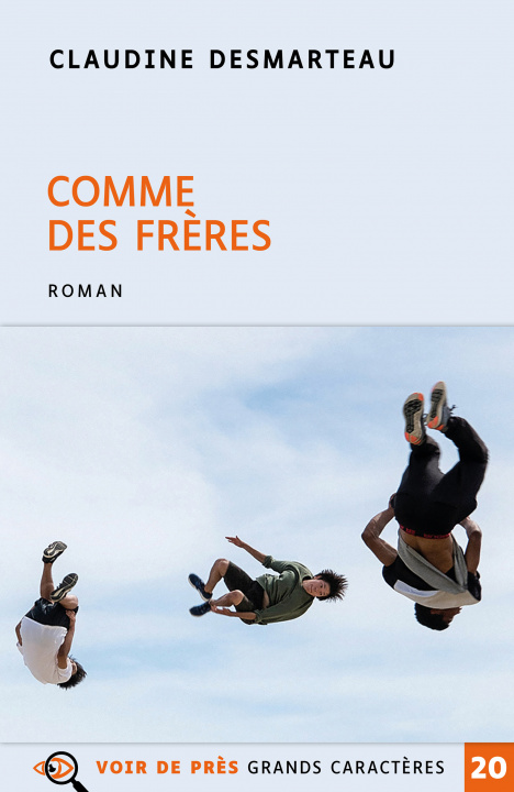 Knjiga COMME DES FRERES Desmarteau