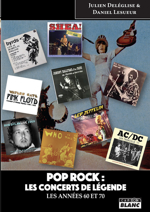 Kniha Pop rock : les concerts de légende Lesueur