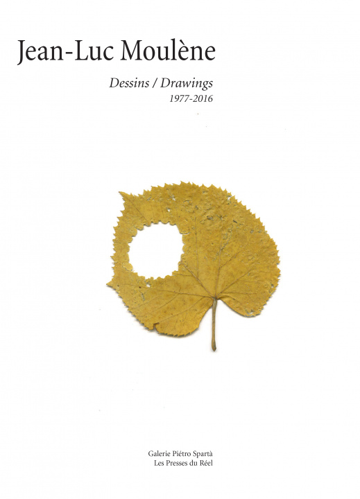 Buch Dessins / Drawings - 1977-2016 Moulène