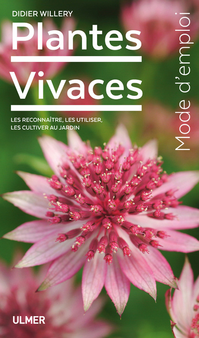 Kniha Plantes vivaces Didier Willery