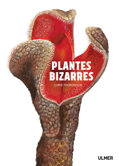 Kniha Plantes bizarres Chris Thorogood