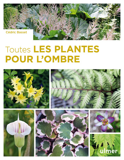 Könyv Toutes les plantes pour l'ombre Cédric Basset