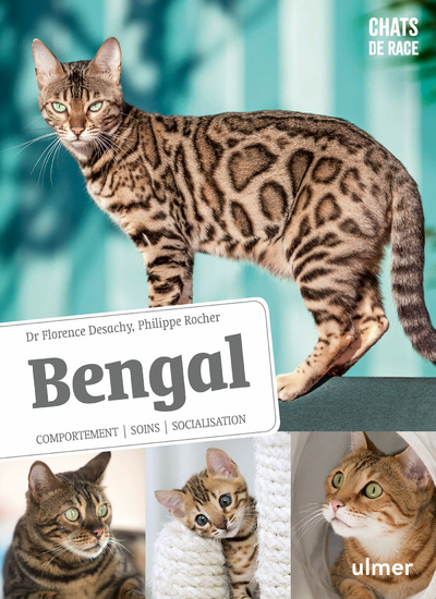 Kniha Bengal - Comportement, soins, sociabilisation Florence Desachy