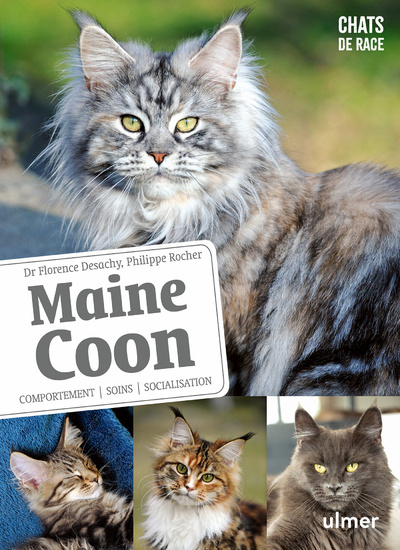 Book Maine Coon - Comportement, soins, sociabilisation Florence Desachy