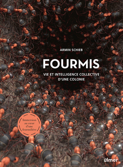 Kniha Fourmis - Vie et intelligence collective d'une colonie Armin Schieb