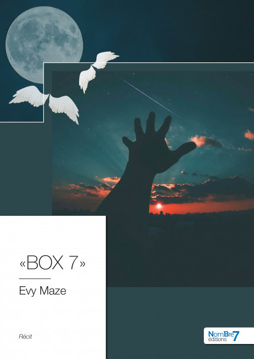 Knjiga « BOX 7 » Maze