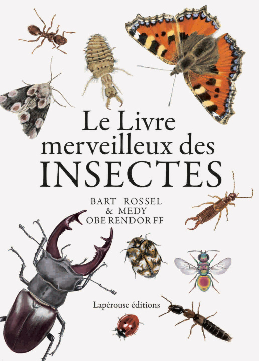 Carte Le livre merveilleux des insectes Oberendorff