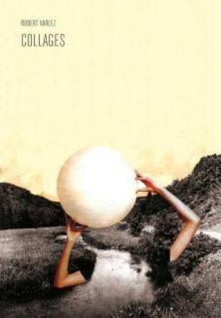 Buch Collages Robert Varlez