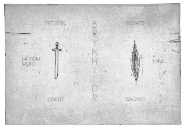 Libro Brynhildr COCHÉ