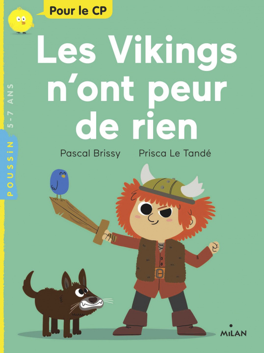 Buch Les Vikings n'ont peur de rien Pascal Brissy