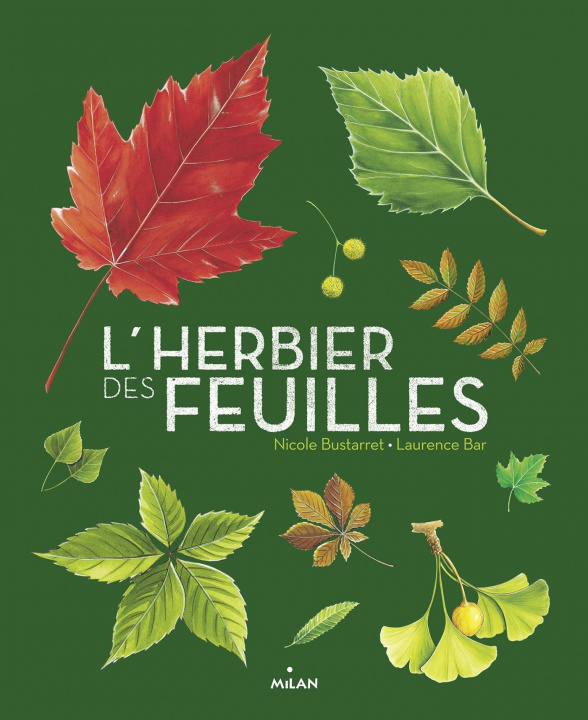 Книга L'herbier des feuilles Nicole Bustarret