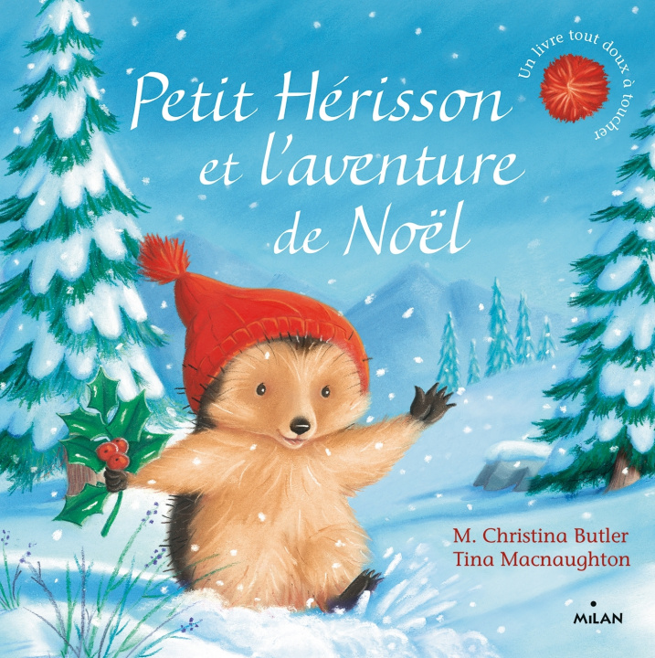 Könyv Petit Hérisson et l'aventure de Noël (tout-carton) M. Christina Butler