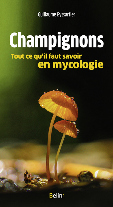 Kniha Champignons, tout ce qu'il faut savoir en mycologie Eyssartier