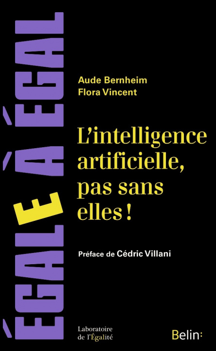 Buch L'intelligence artificielle, pas sans elles ! VINCENT