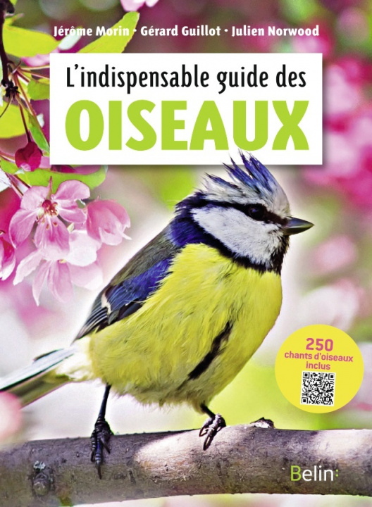 Kniha L'indispensable guide des oiseaux Norwood
